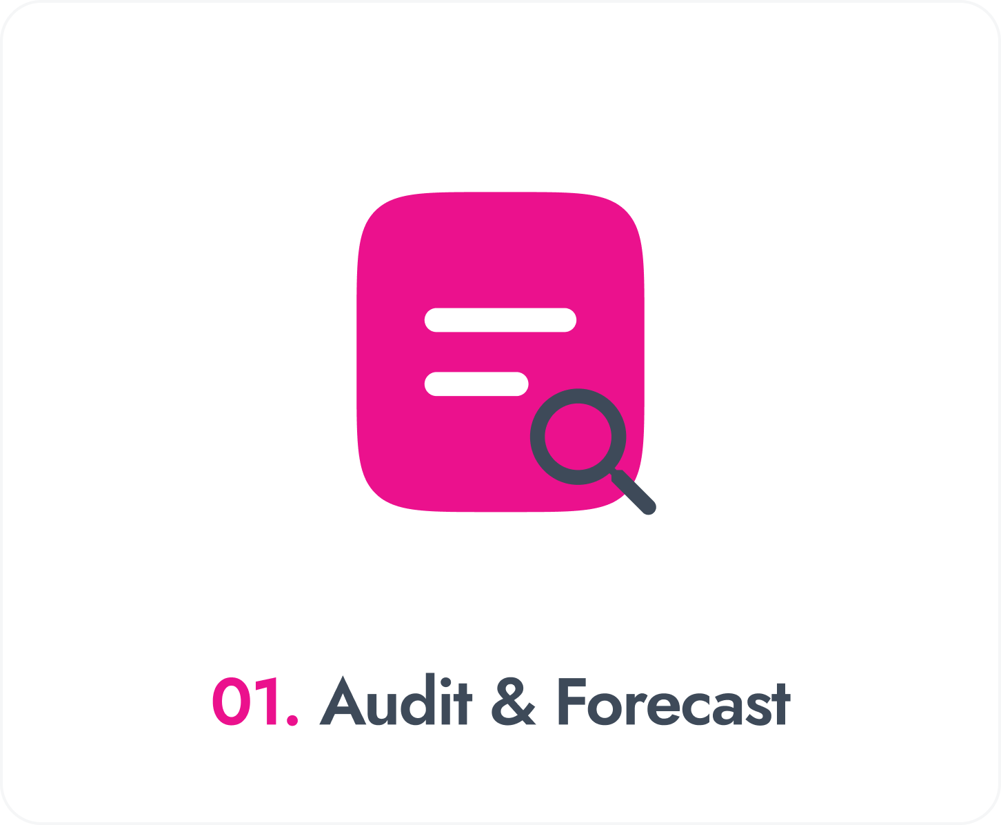 Audit & Forecast