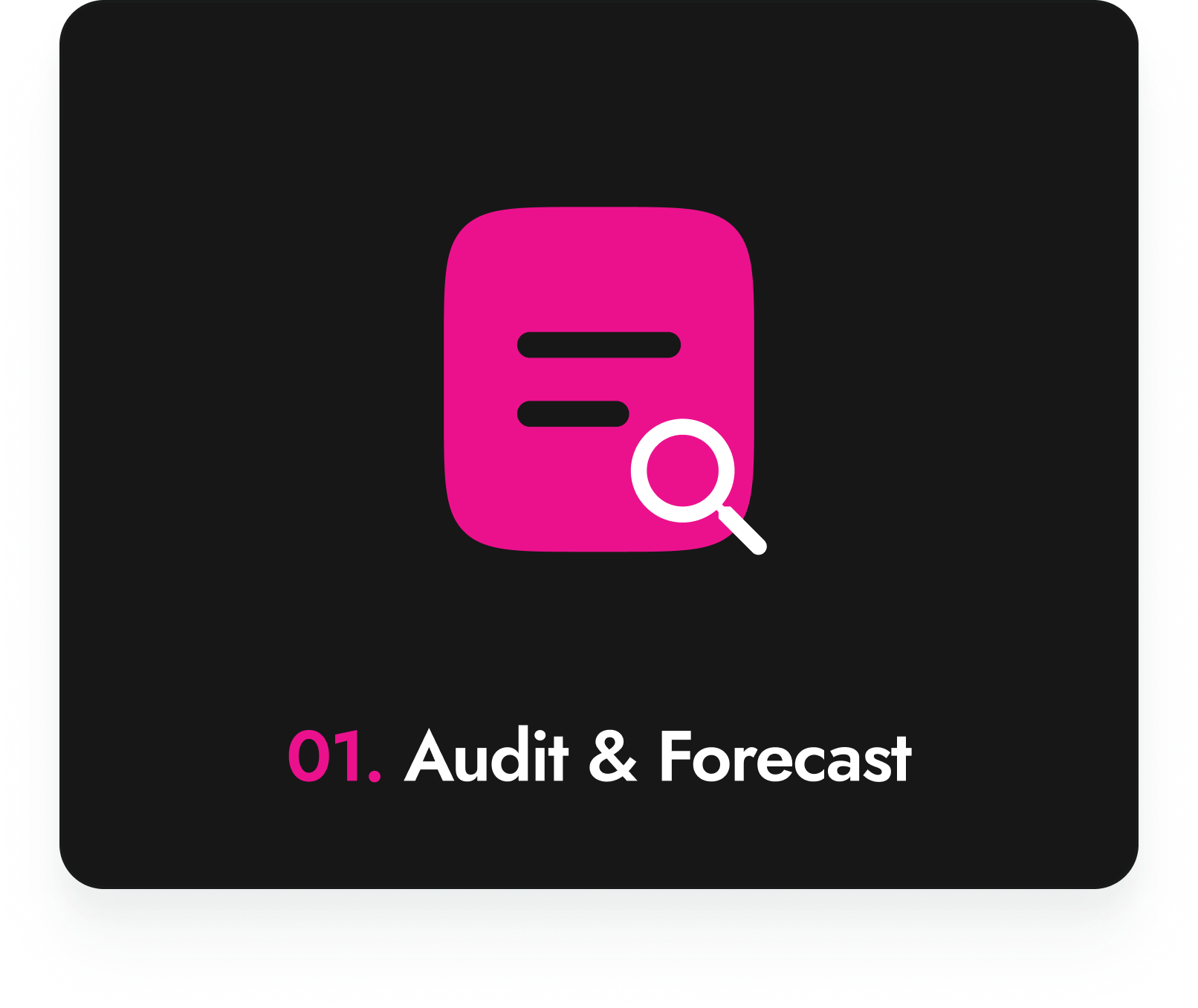 Audit & Forecast
